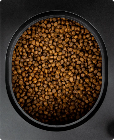 Helps keep kibble fresh & safe